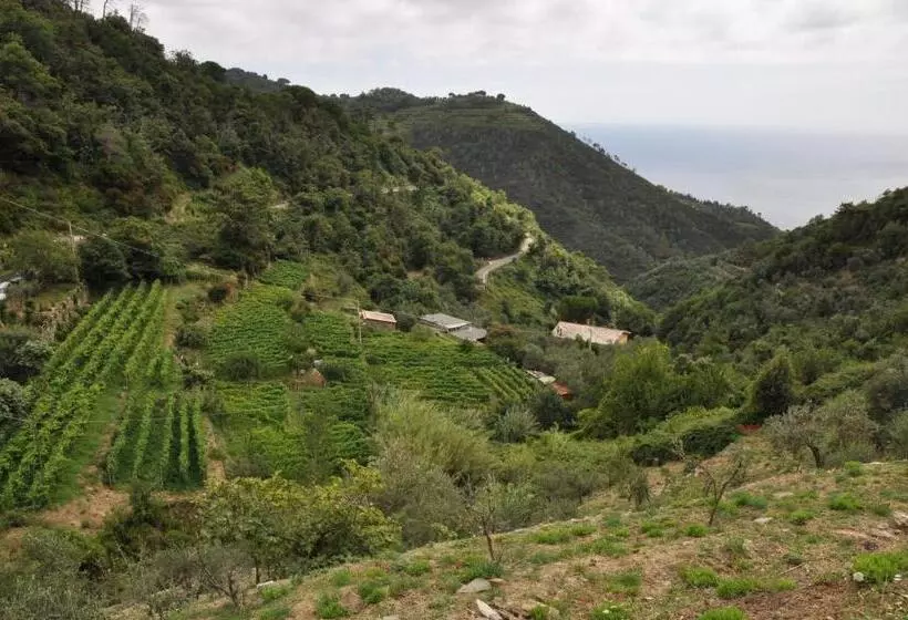 تختخواب و صبحانه Agriturismo Costa Di Campo