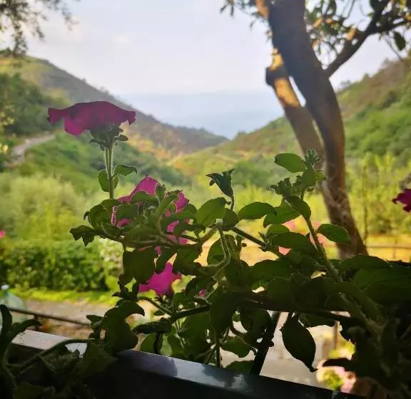 تختخواب و صبحانه Agriturismo Costa Di Campo