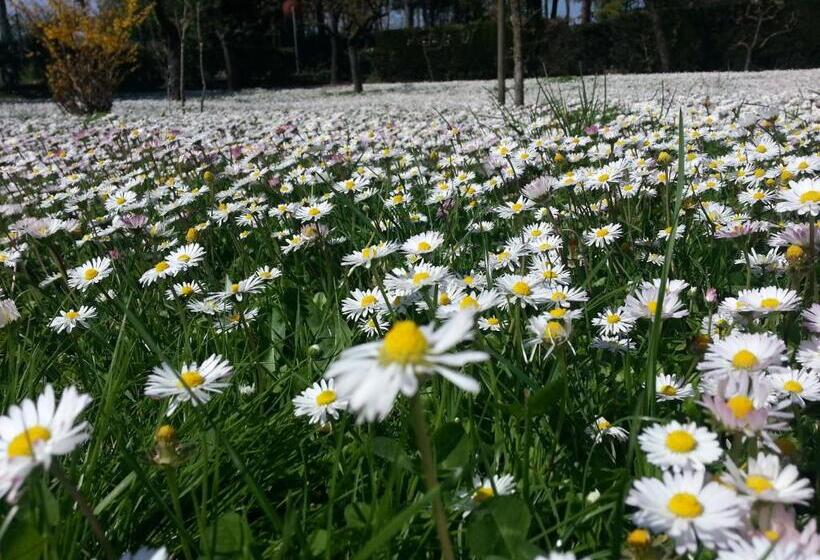 تختخواب و صبحانه Al Villino Del Sole