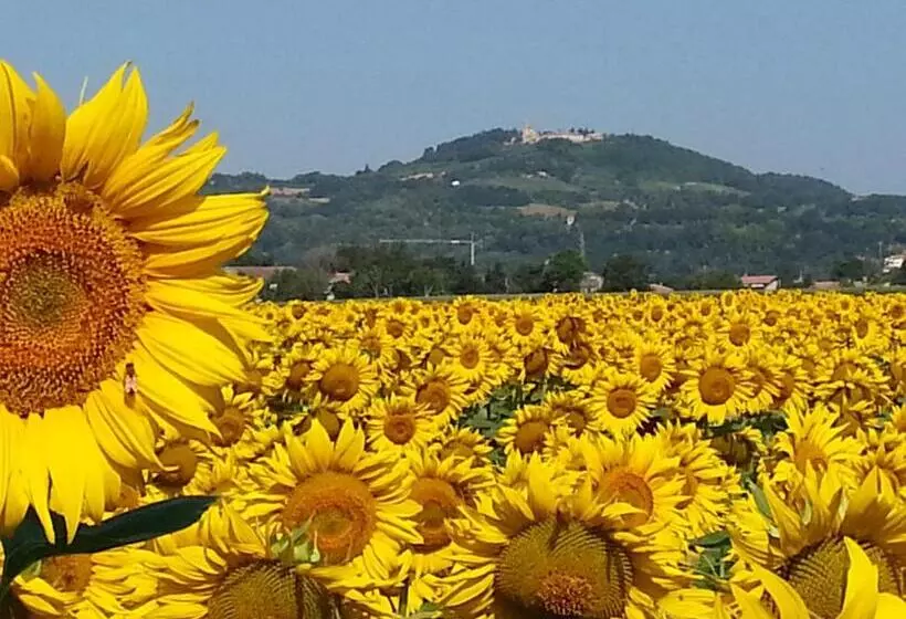 Aamiaismajoitus (B&B) Al Villino Del Sole