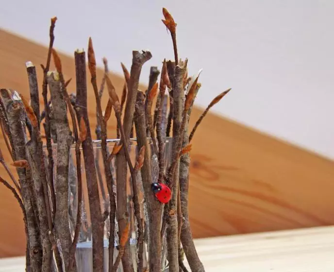 Aamiaismajoitus (B&B) Le Castagne Matte