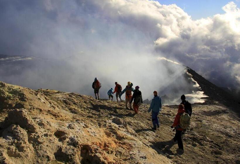 住宿加早餐  Magma Guest House