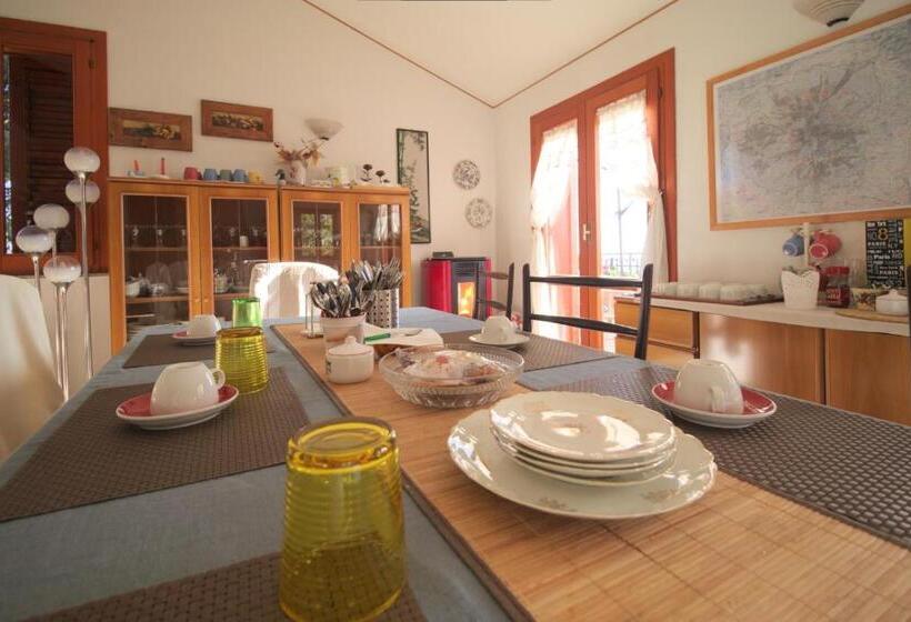 住宿加早餐  Magma Guest House