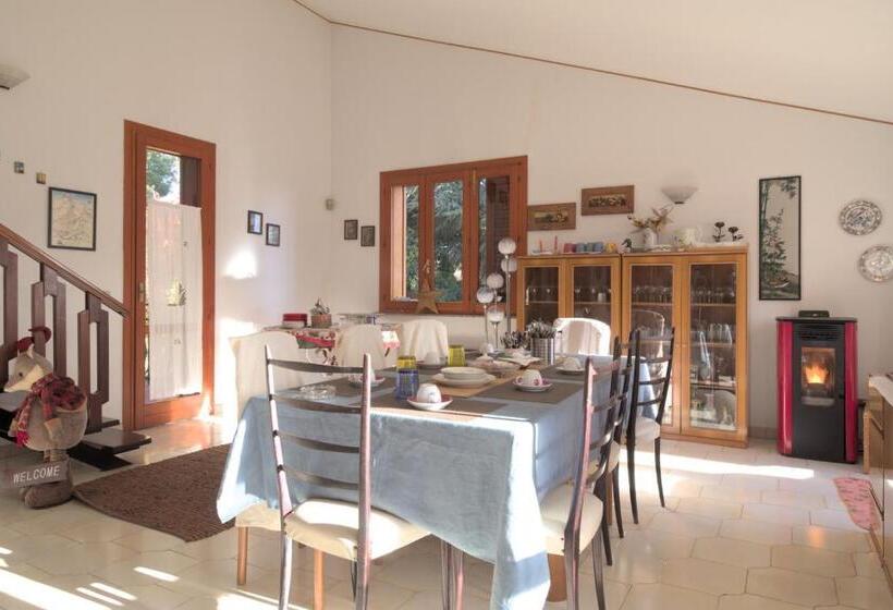 住宿加早餐  Magma Guest House