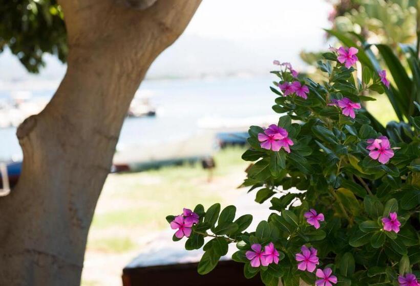 تختخواب و صبحانه Sabrina Suite