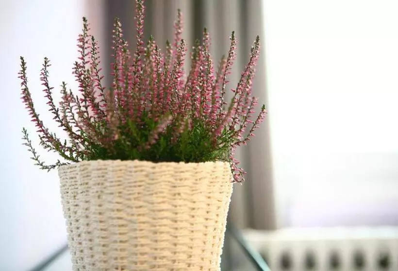 ベッドアンドブレックファースト Villa Camurana