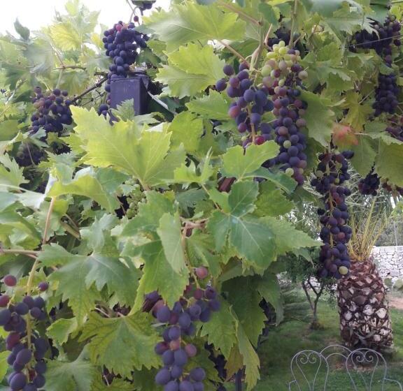 مبيت وإفطار Villa Caramia