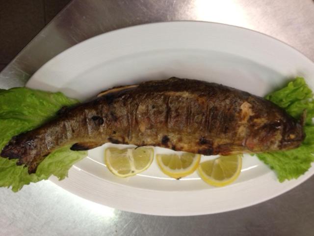 فندق Albergo Ristorante Monte Piella