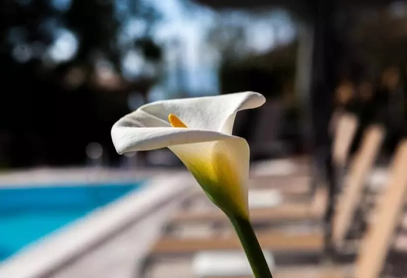 Art Hotel Ventaglio