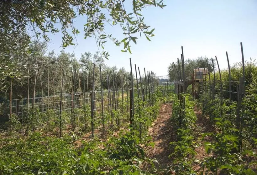 Bed And Breakfast Aratro & Rosmarino