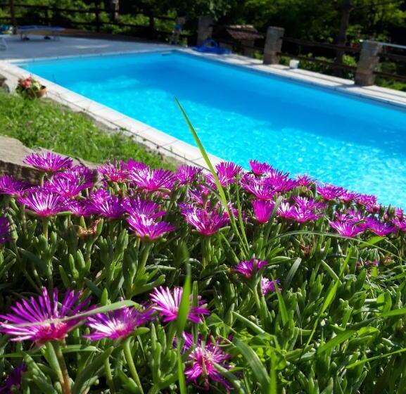 مبيت وإفطار La Lacia