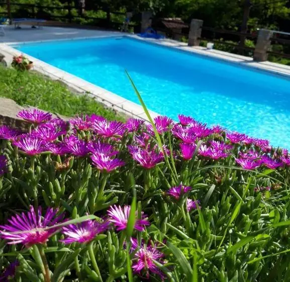 Aamiaismajoitus (B&B) La Lacia