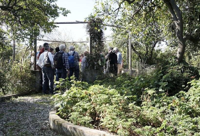 مبيت وإفطار Malvarosa