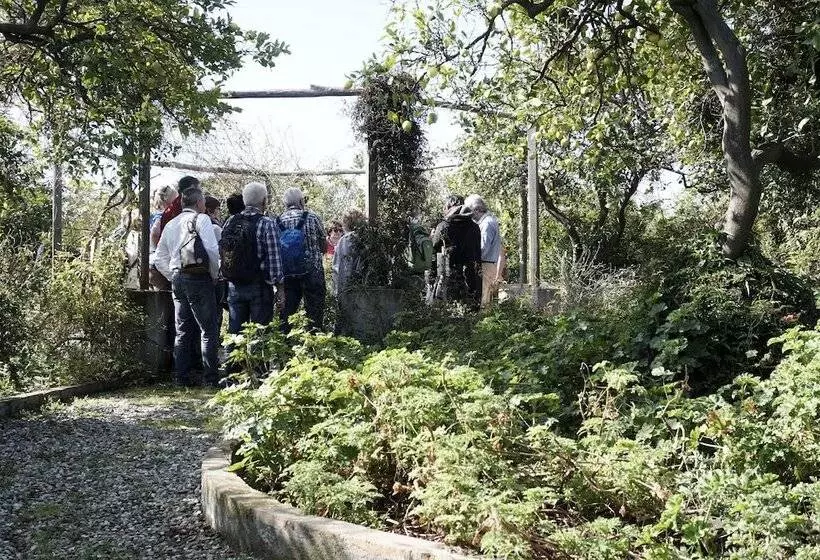 ベッドアンドブレックファースト Malvarosa