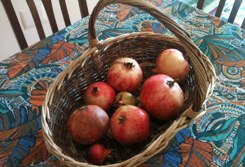 B&b Nonna Saveria