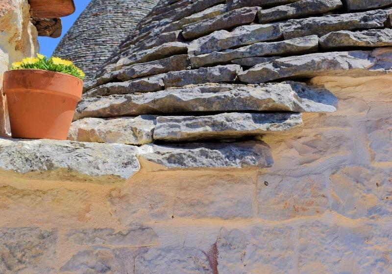 La Rosa Dei Trulli B&b