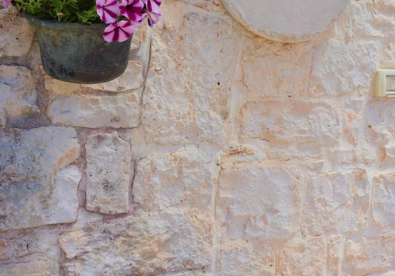 La Rosa Dei Trulli B&b