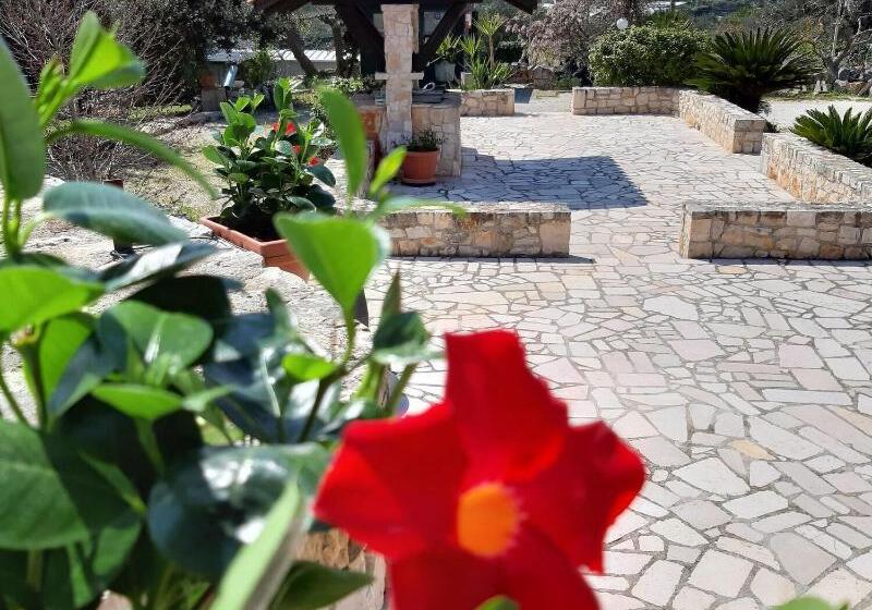 La Rosa Dei Trulli B&b