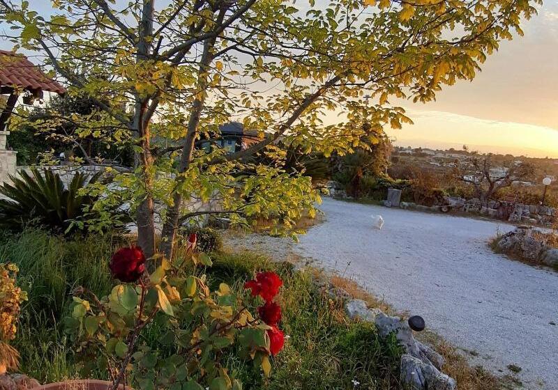 La Rosa Dei Trulli B&b