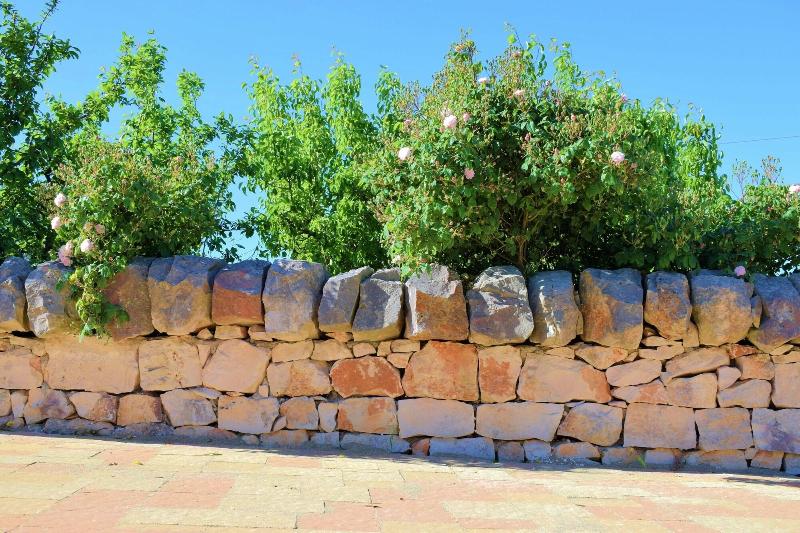 La Rosa Dei Trulli B&b