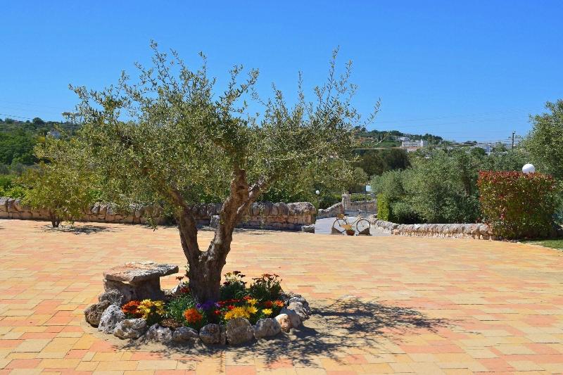 La Rosa Dei Trulli B&b
