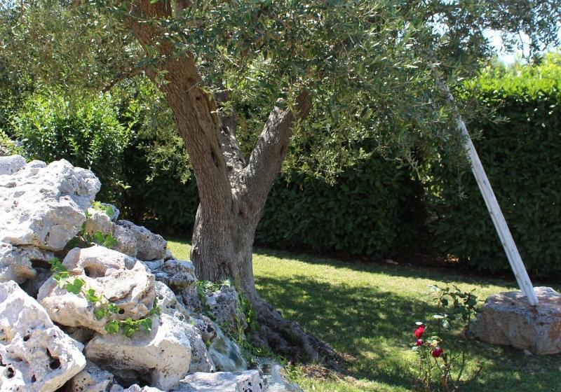 La Rosa Dei Trulli B&b