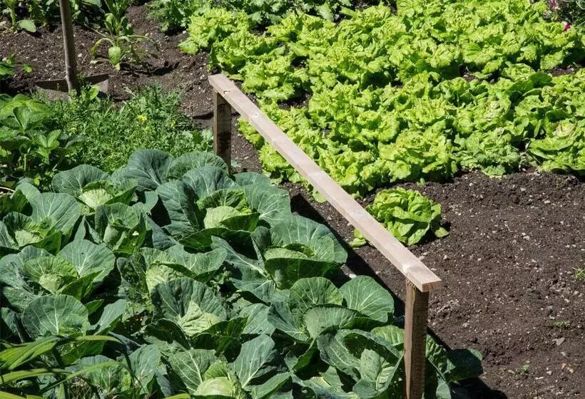 Naturhotel Edelweiss