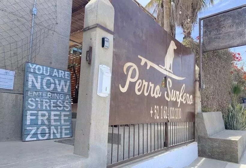 Retkeilymaja Perro Surfero Todos Santos