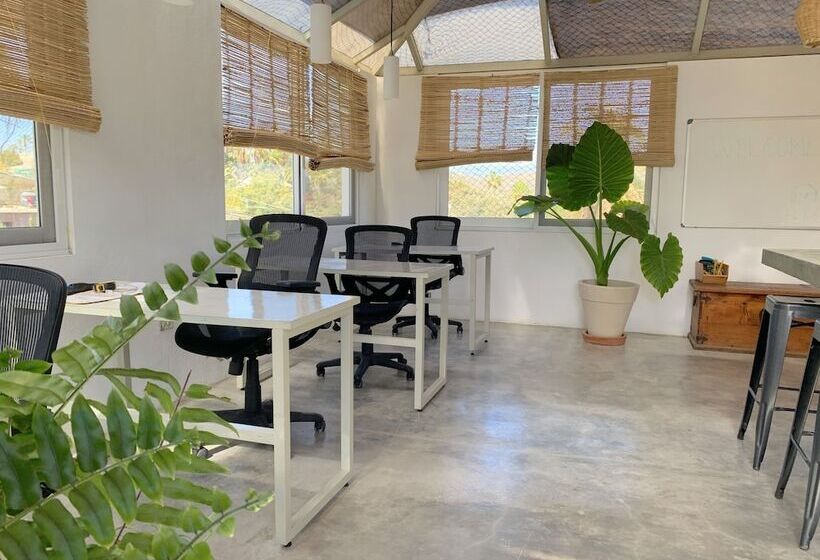 Hostel Perro Surfero Todos Santos