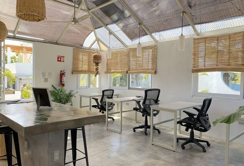 Hostel Perro Surfero Todos Santos