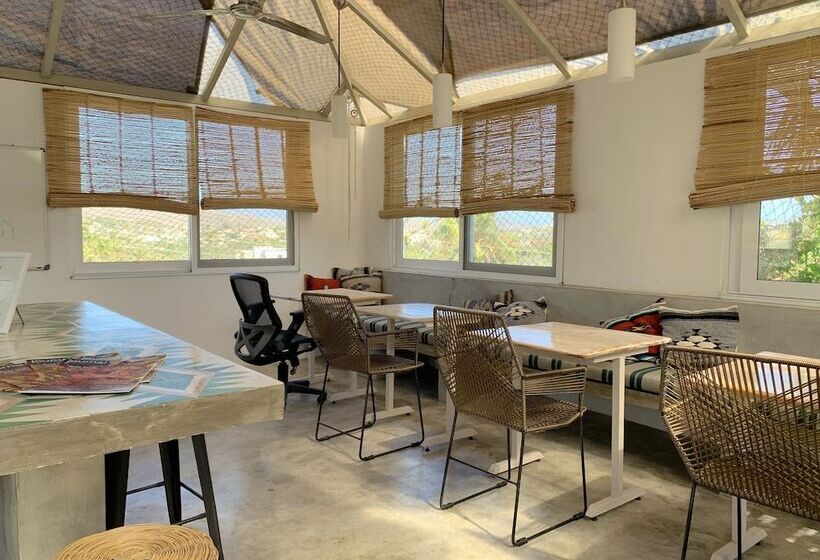 Hostel Perro Surfero Todos Santos