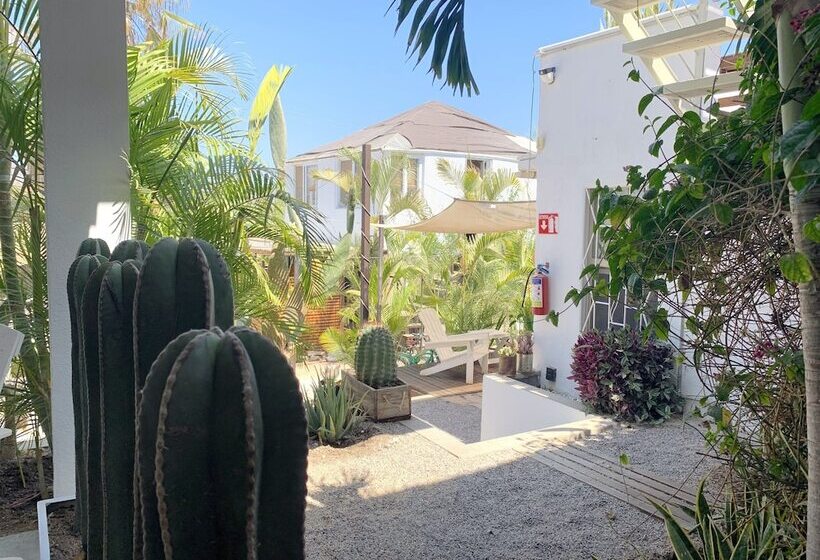 Hostel Perro Surfero Todos Santos