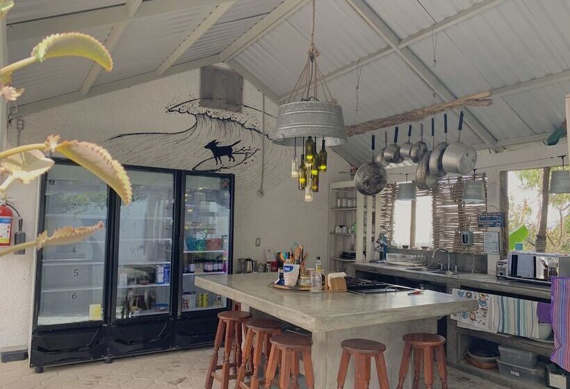 Hostel Perro Surfero Todos Santos