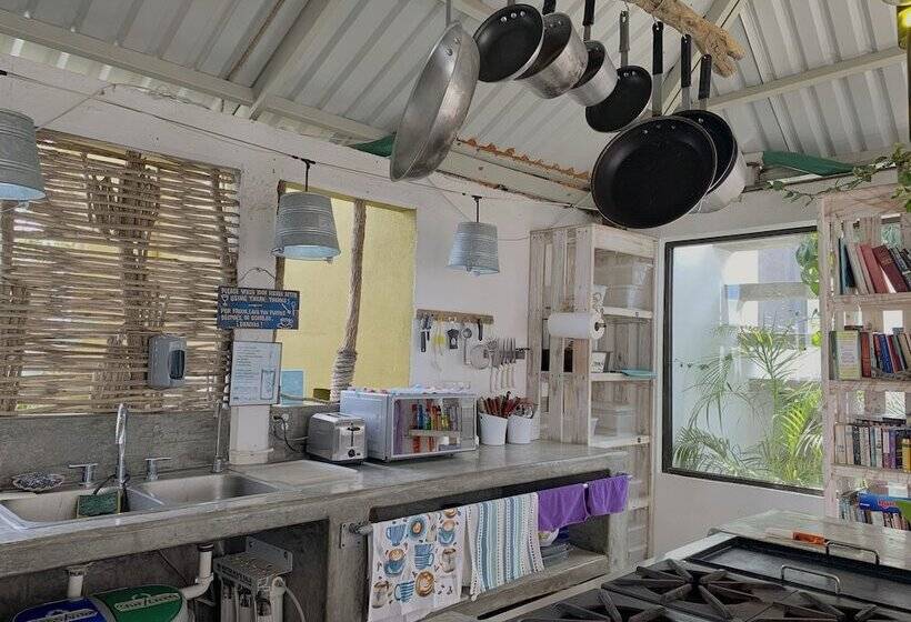 Hostel Perro Surfero Todos Santos