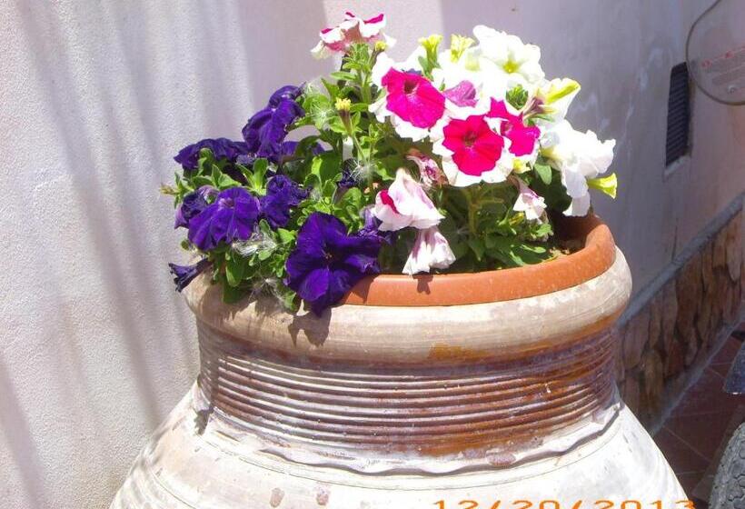 צימר La Bianca Scogliera