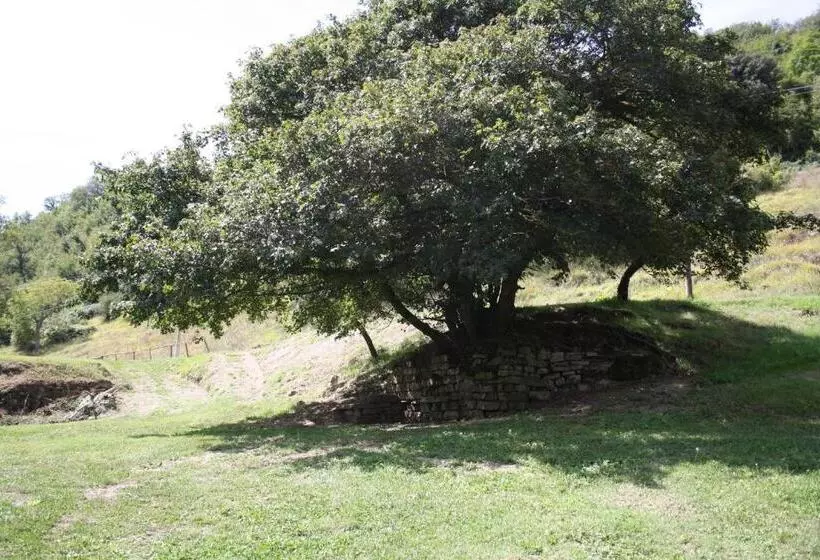 Aamiaismajoitus (B&B) Locanda Di Alberi