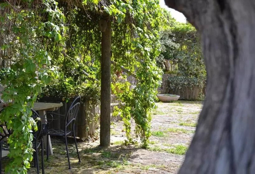 Aamiaismajoitus (B&B) Masseria Montanaro