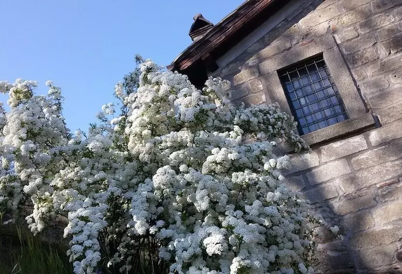 Aamiaismajoitus (B&B) Podere Pontepietra