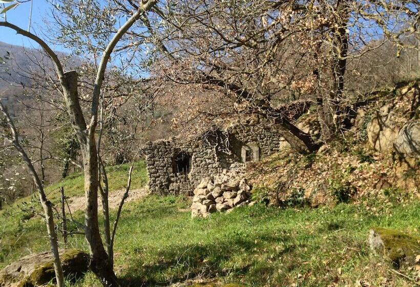 민박 Podere Pontepietra