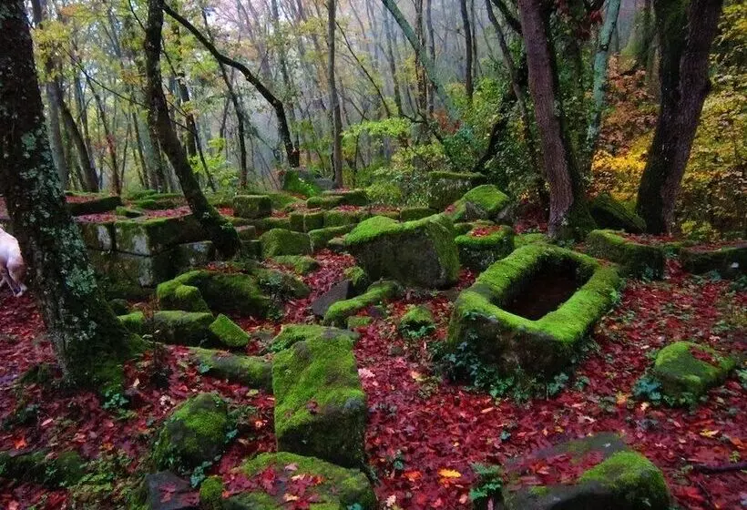 Aamiaismajoitus (B&B) Podere Pontepietra