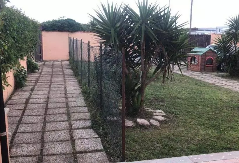 Aamiaismajoitus (B&B) Sabrina Airport