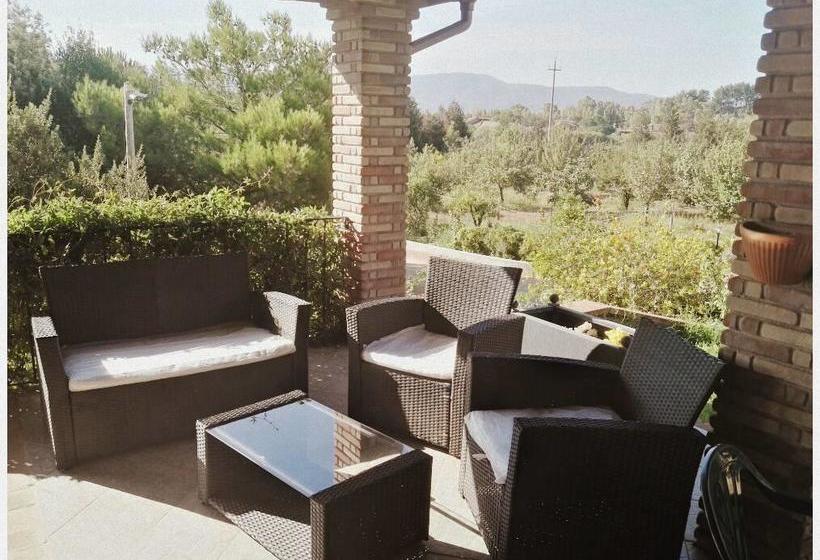 تختخواب و صبحانه Su Carru A Boi