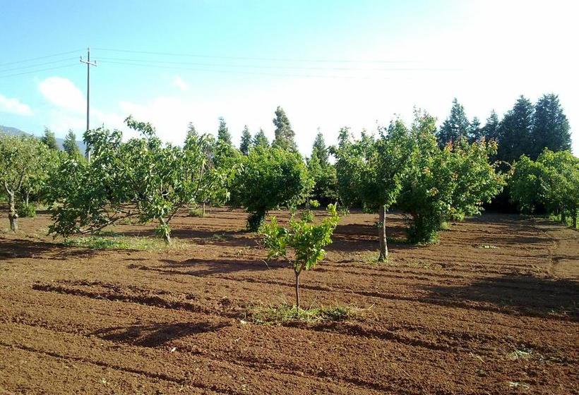 تختخواب و صبحانه Su Carru A Boi