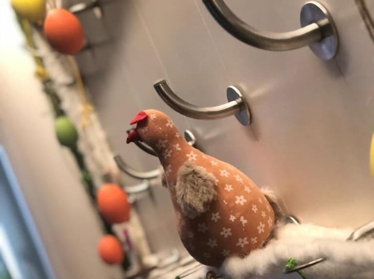 Отель Gasthof Mondschein