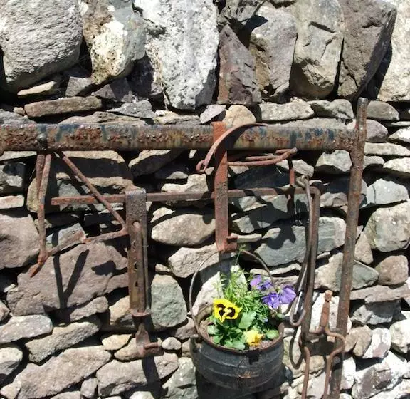 Inishfree House B&b