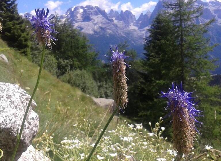 ベッドアンドブレックファースト Maso Pin