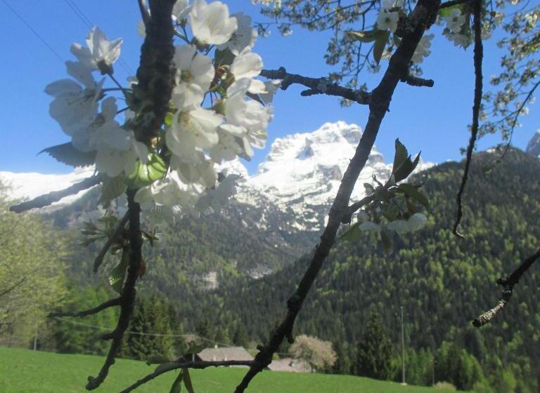 ベッドアンドブレックファースト Maso Pin