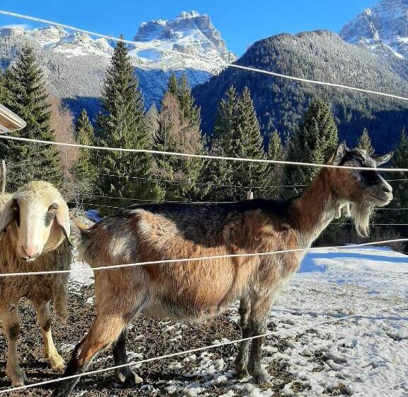 ベッドアンドブレックファースト Maso Pin