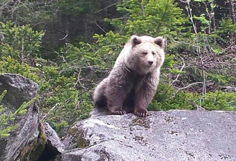 ベッドアンドブレックファースト Maso Pin