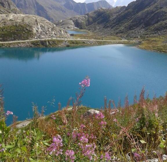 ベッドアンドブレックファースト Maso Pin